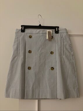 JCREW  Blue and White Striped Skirt NWT Size 12T